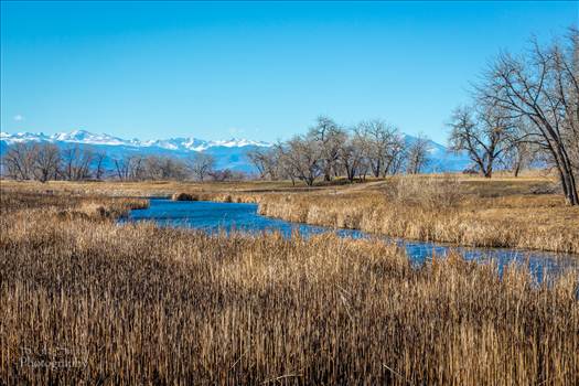 Rocky Mountain Arsenal - Wildlife refuge at the Rocky Mountain Arsenal.  A pretty impressive place, with bison, eagles, deer, and a good variety of birds.