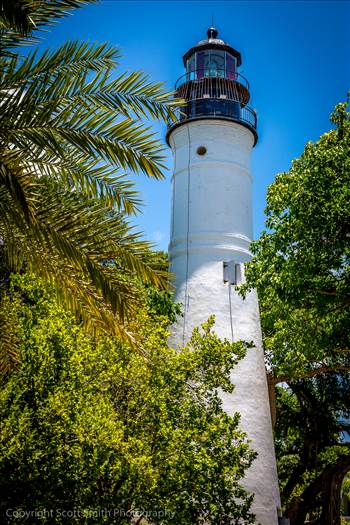 Across from Hemingway's house in Key West, Florida