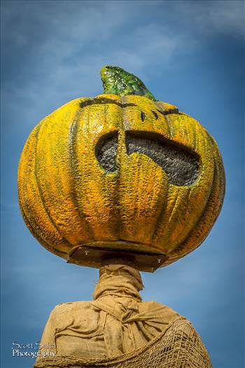 Anderson Farms, Erie Colorado.