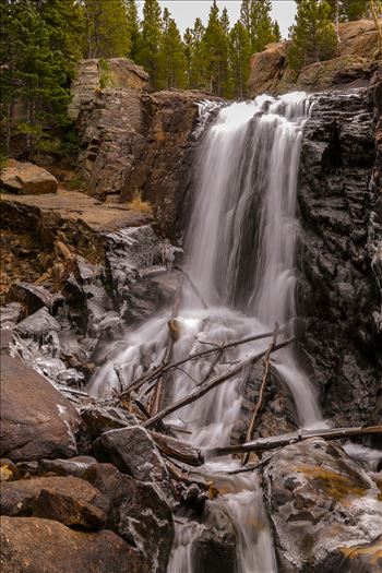 As winter approaches and the temperature starts to drop, ice formations start to appear around Alberta Falls.