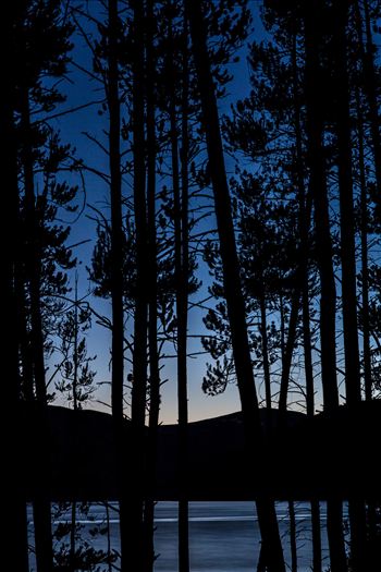 Turqouise through the trees, Lake lit by the last of the sunlight, as seen from our campsite.