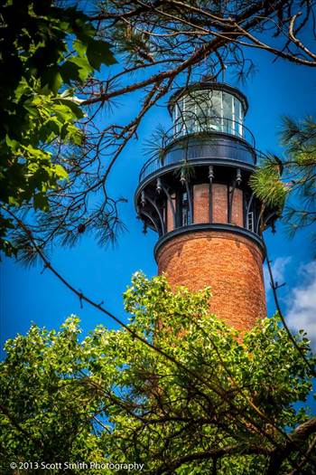 From Currituck, NC, in the Outer Banks.