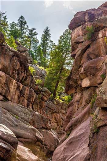 Paradise Cove - Hidden away in Guffey, Colorado, Paradise Cove, also known as Guffey Cove, is an amazing swimming hole tucked in a narrow secluded canyon.